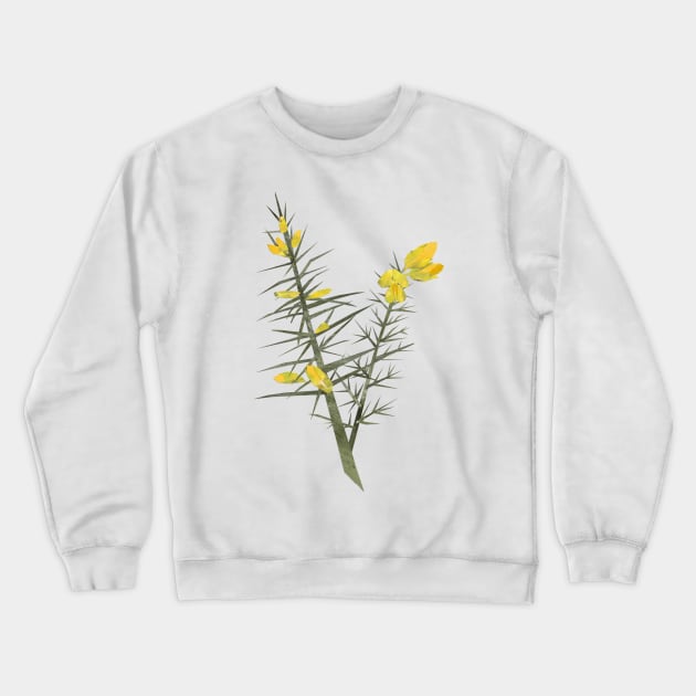 Gorse Crewneck Sweatshirt by Babban Gaelg